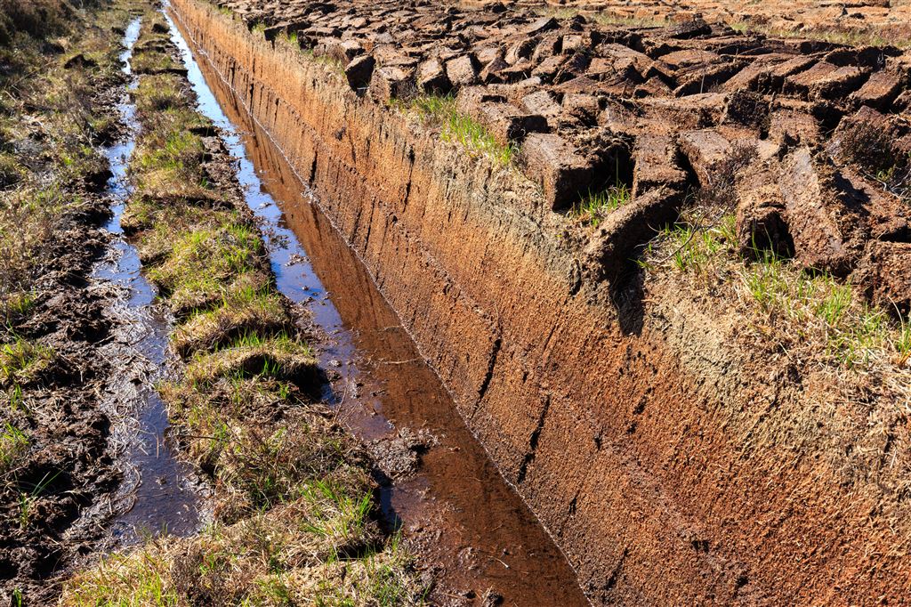 What Is Peat And Why Is It Important To Whisky Definition Meaning